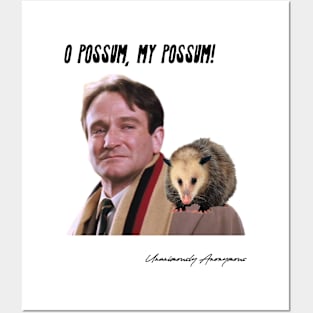 O Possum, My Possum! Posters and Art